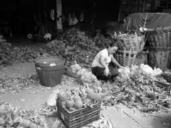P1021565_R
