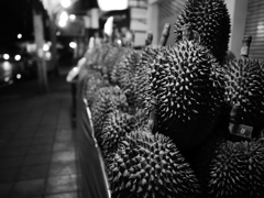 P1100676