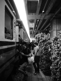 P1130102_R