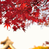 紅葉～嵐山～