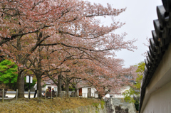 龍野城