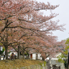 龍野城