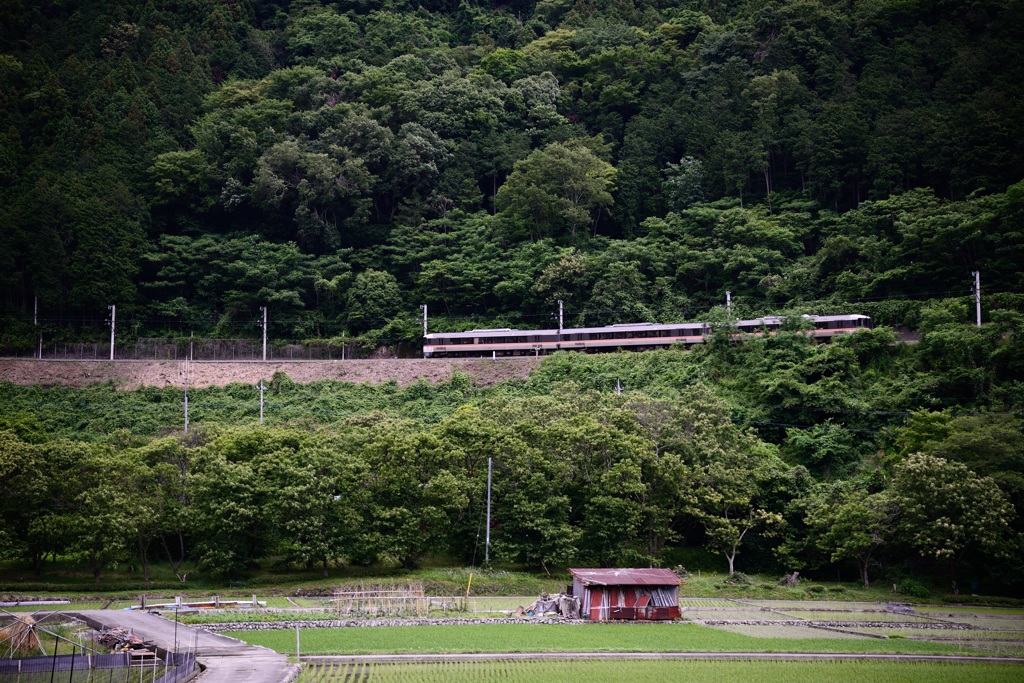 特急富士川
