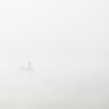 山中湖　朝霧のバス釣り