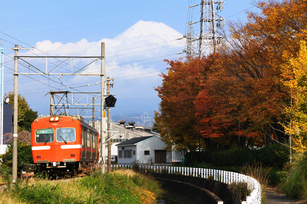 岳南　富士を望む