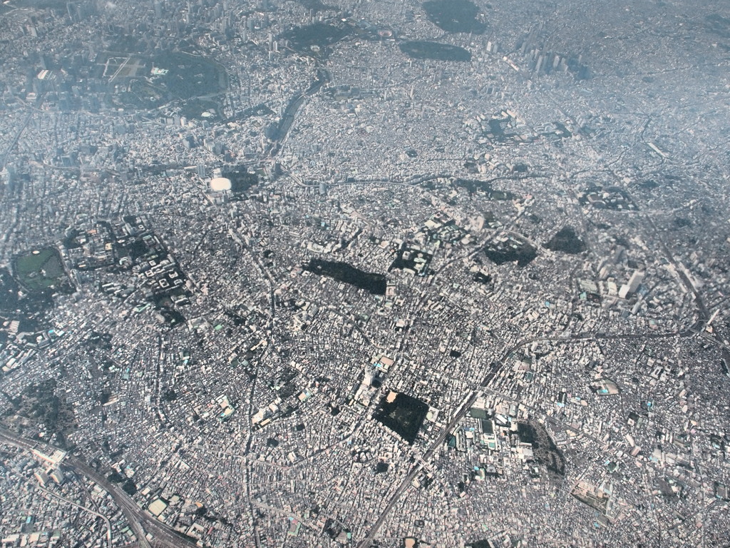 緑の少ない東京。