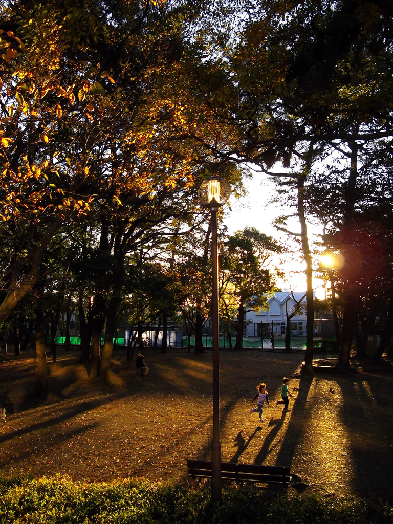 暖光の公園・・・よく遊べ。