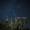 霜降りる秋の空