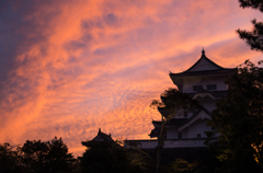 上野城の夕焼け