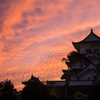 上野城の夕焼け