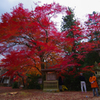 佐地神社の紅葉