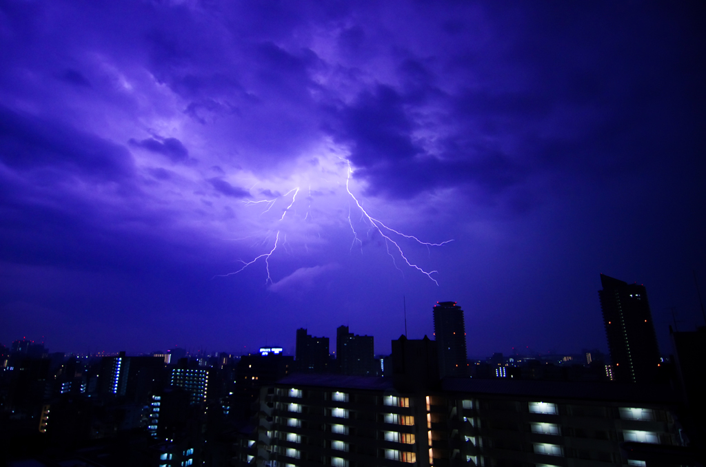 雷は芸術だ！