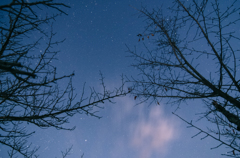 立雲峡からの星空