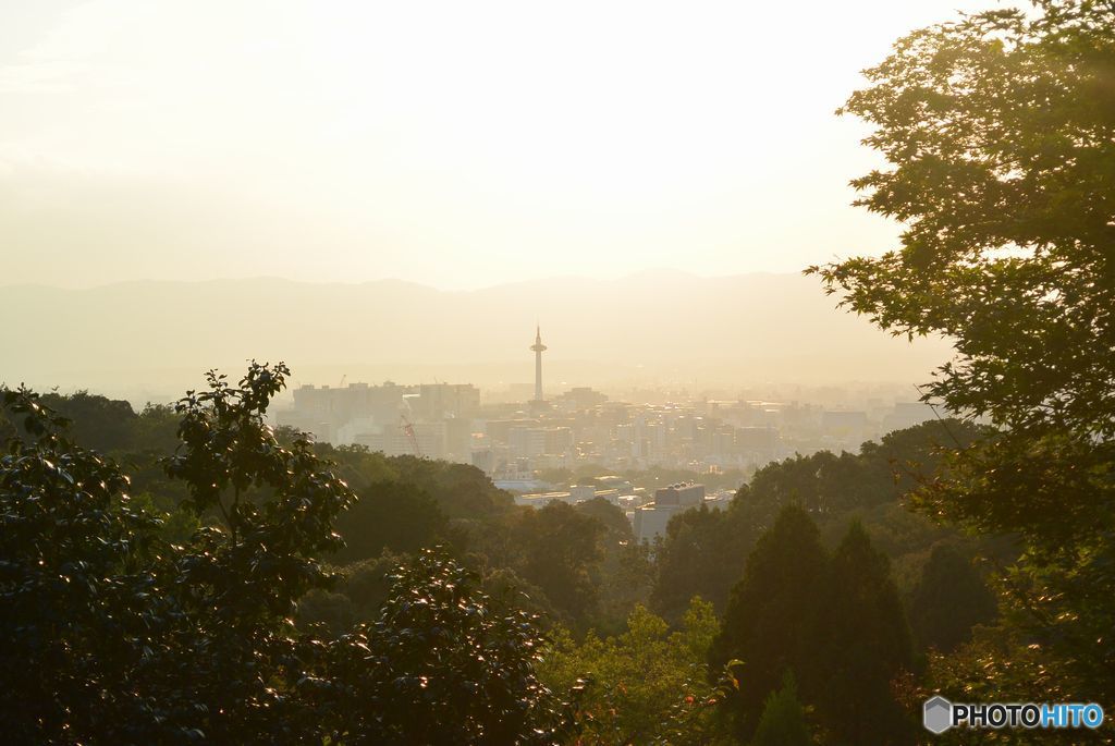 夕日