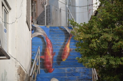 鯉の階段下り