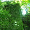 石垣　苔むす