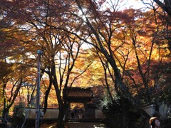 大威徳寺