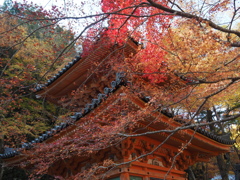 大威徳寺多宝塔