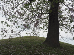 心合寺山古墳（しおんじやまこふん）