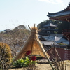 當麻寺の二つの塔と冬牡丹