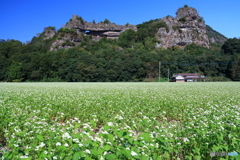 ソバの花と羅漢寺