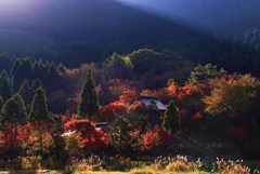 紅葉の山寺