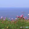 空と海が溶け合う場所