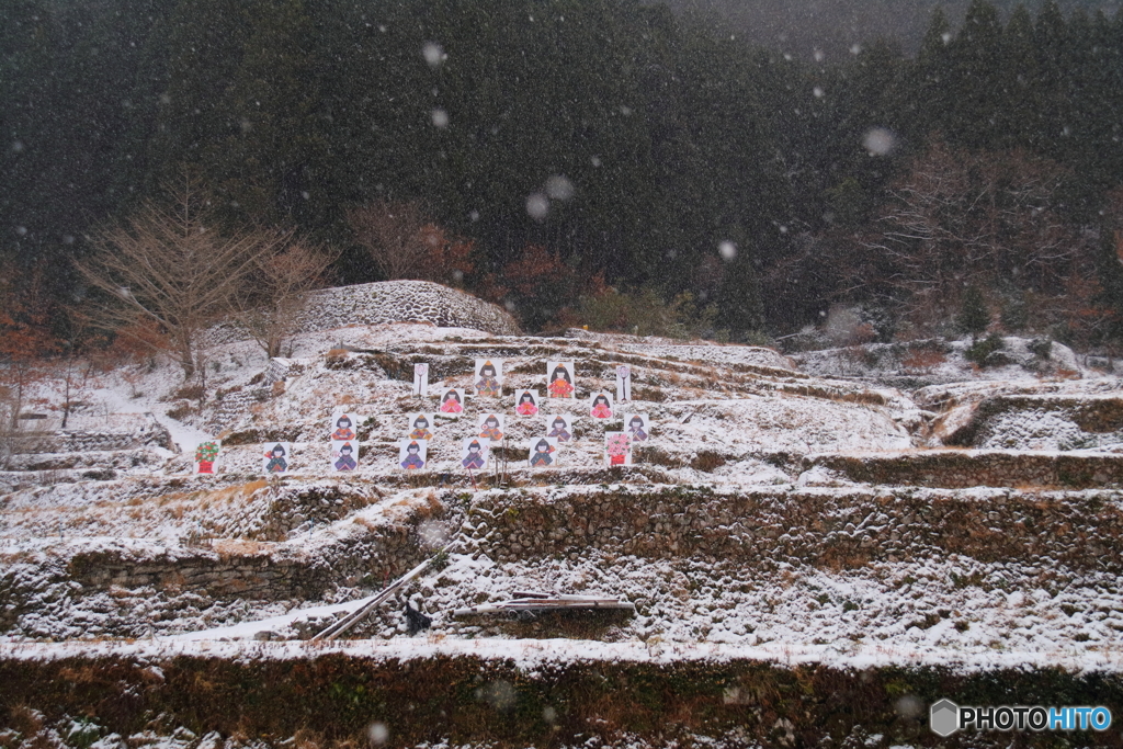 細雪