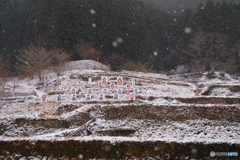 細雪