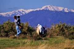 山の初冠雪