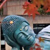 穏やかな表情