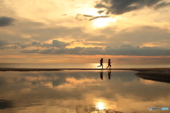 夏の海