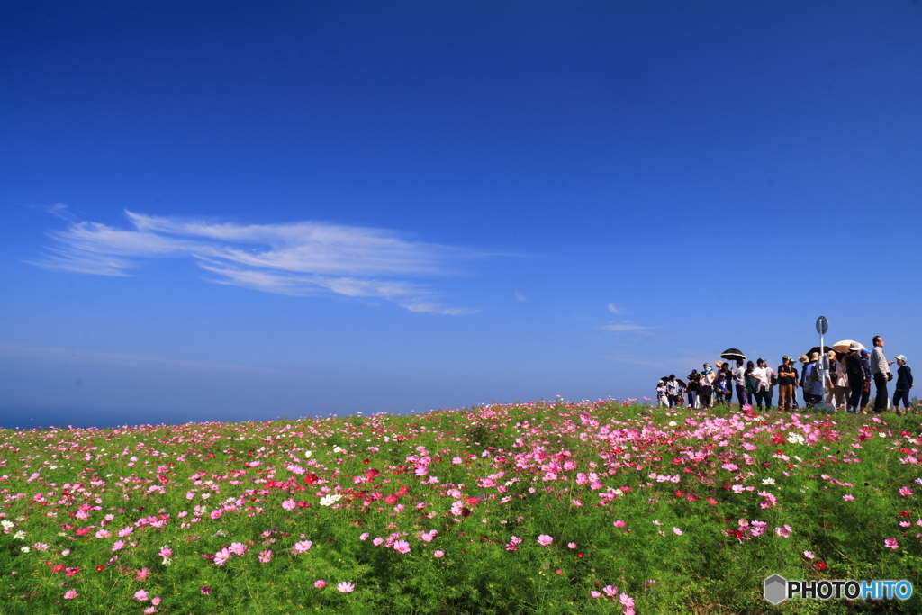 空と海が溶け合う場所
