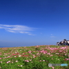 空と海が溶け合う場所