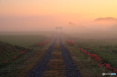 霧の朝の境界