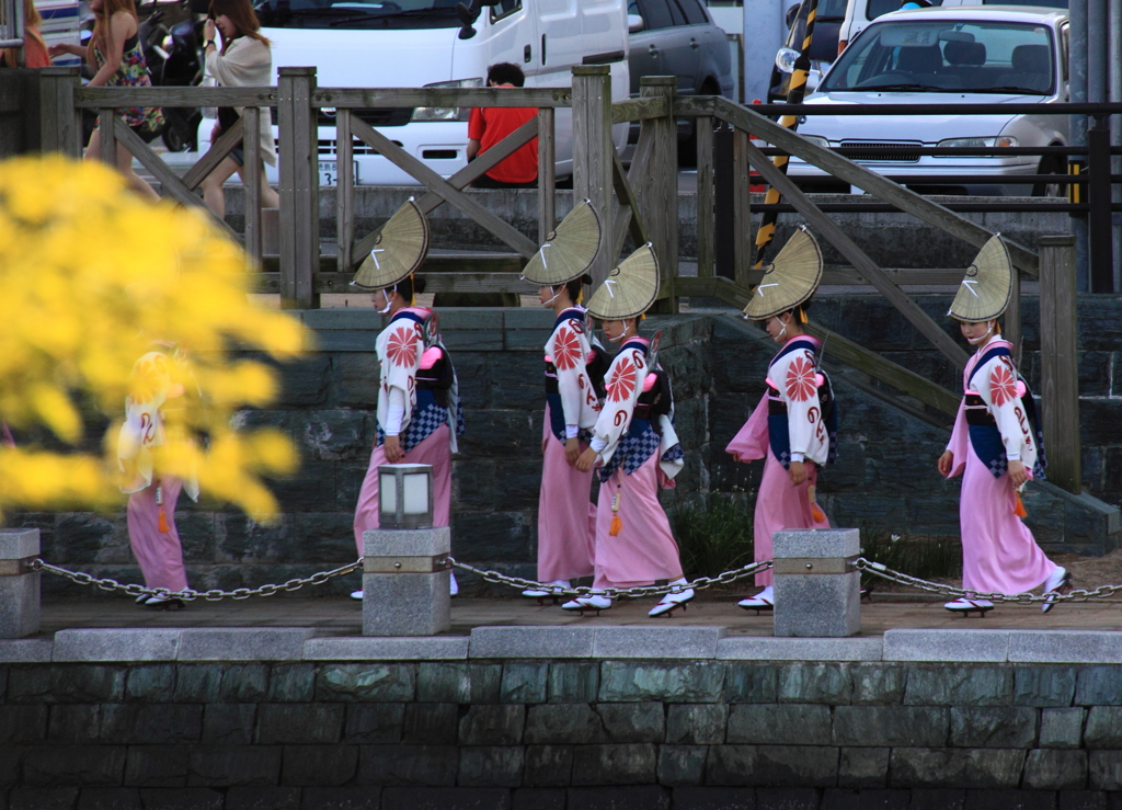 阿波踊り。会場へ