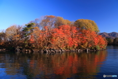 檜原湖紅葉