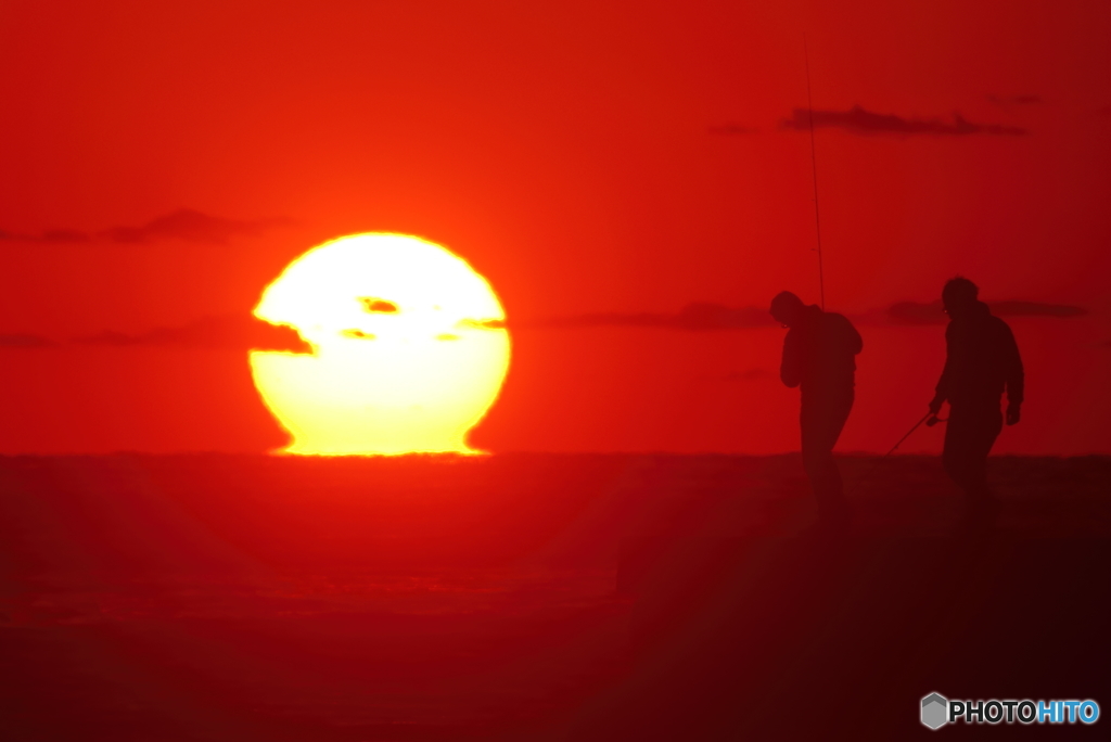 今年最後のだるま太陽