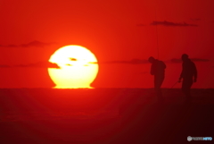 今年最後のだるま太陽