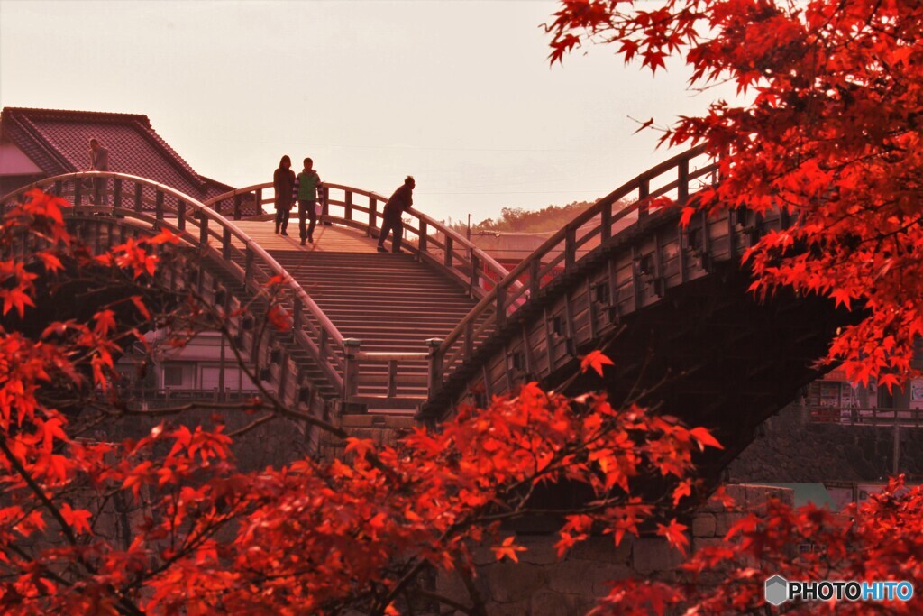 錦帯橋と紅葉