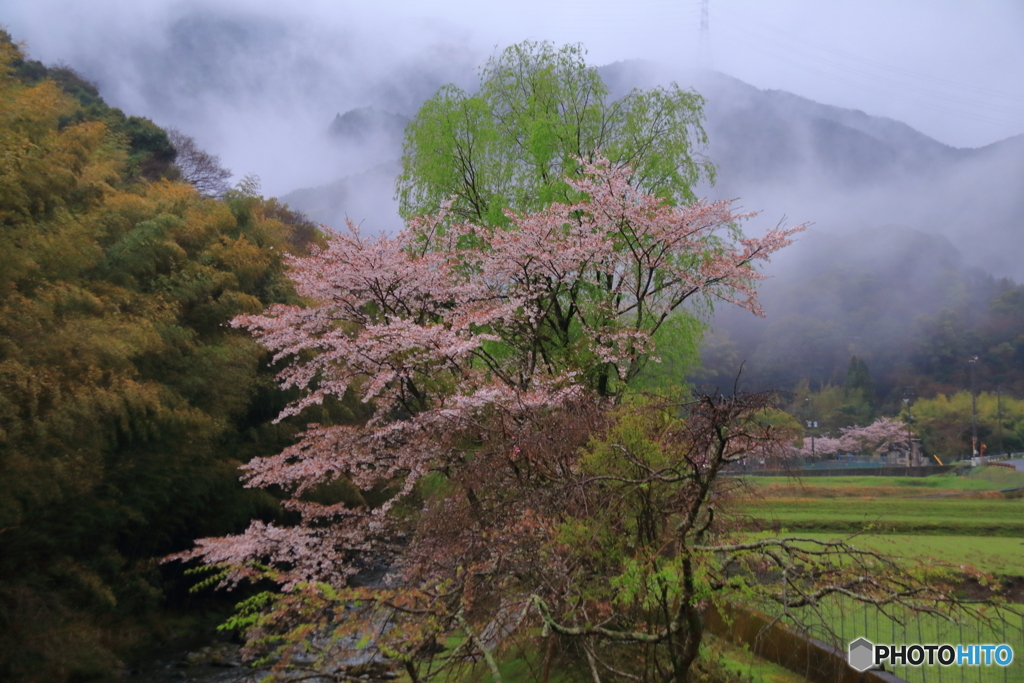 雨上がり