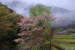 雨上がり