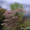 雨上がり