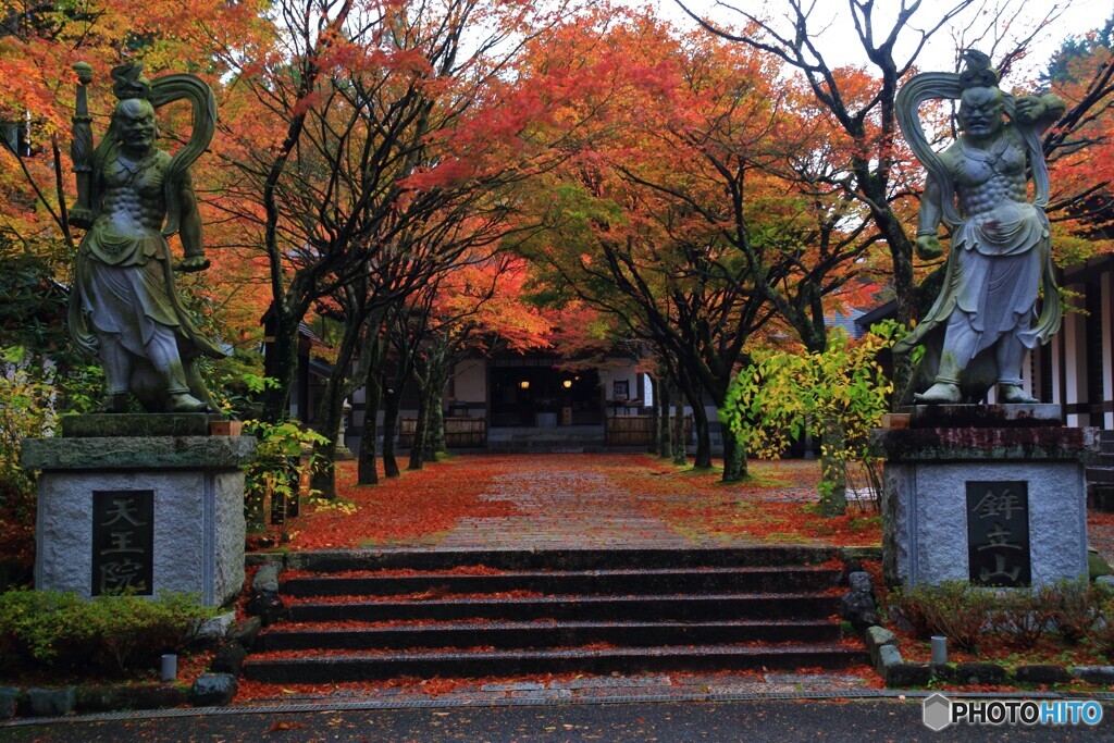 雨上がりの紅葉