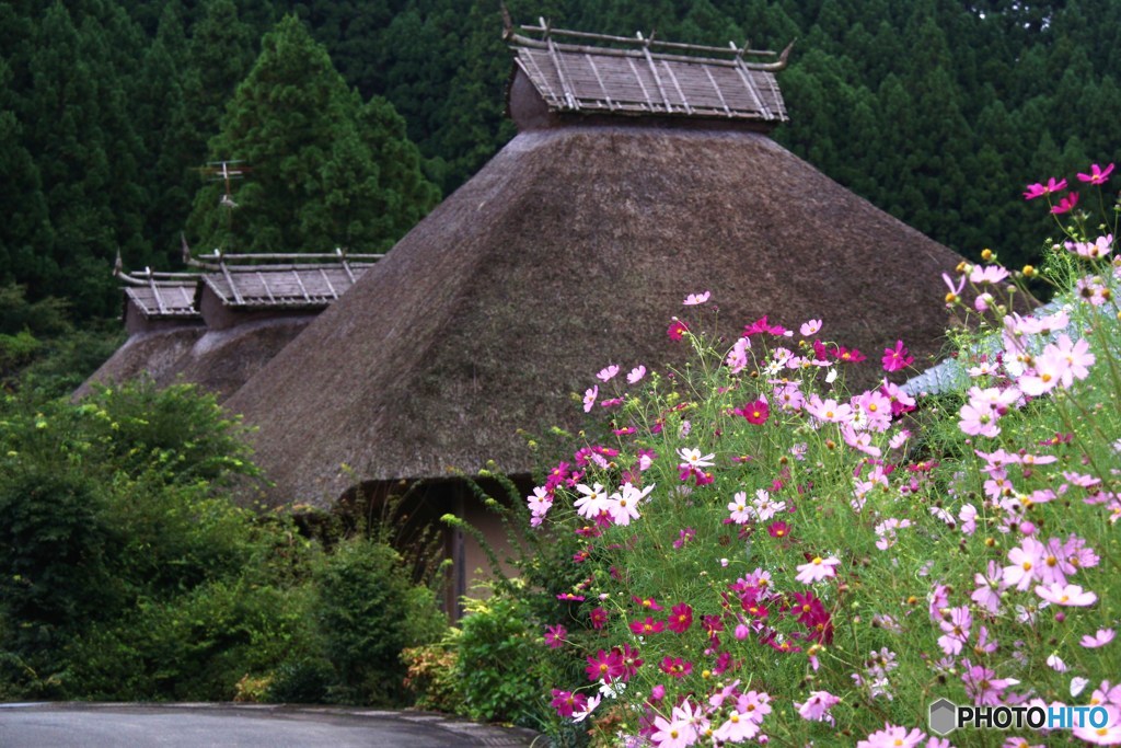 里山の四季（ギャラリー用）