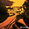 浜の浦棚田。１