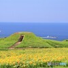 空と海が溶け合う場所