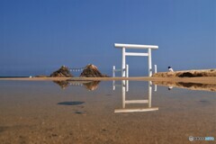 白い鳥居