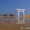 白い鳥居