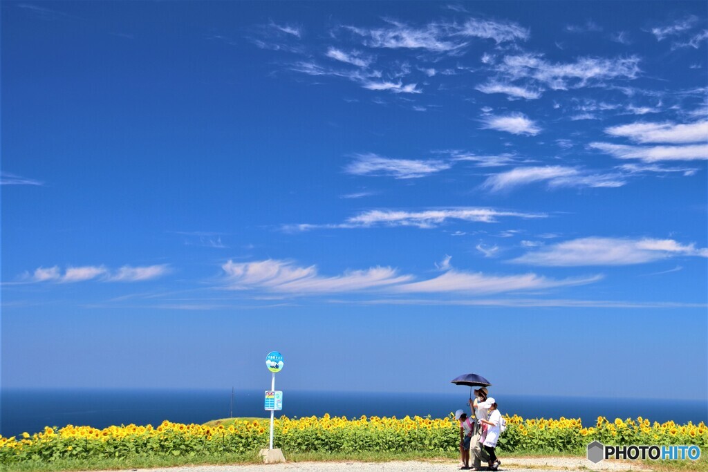 空と海が溶け合う場所